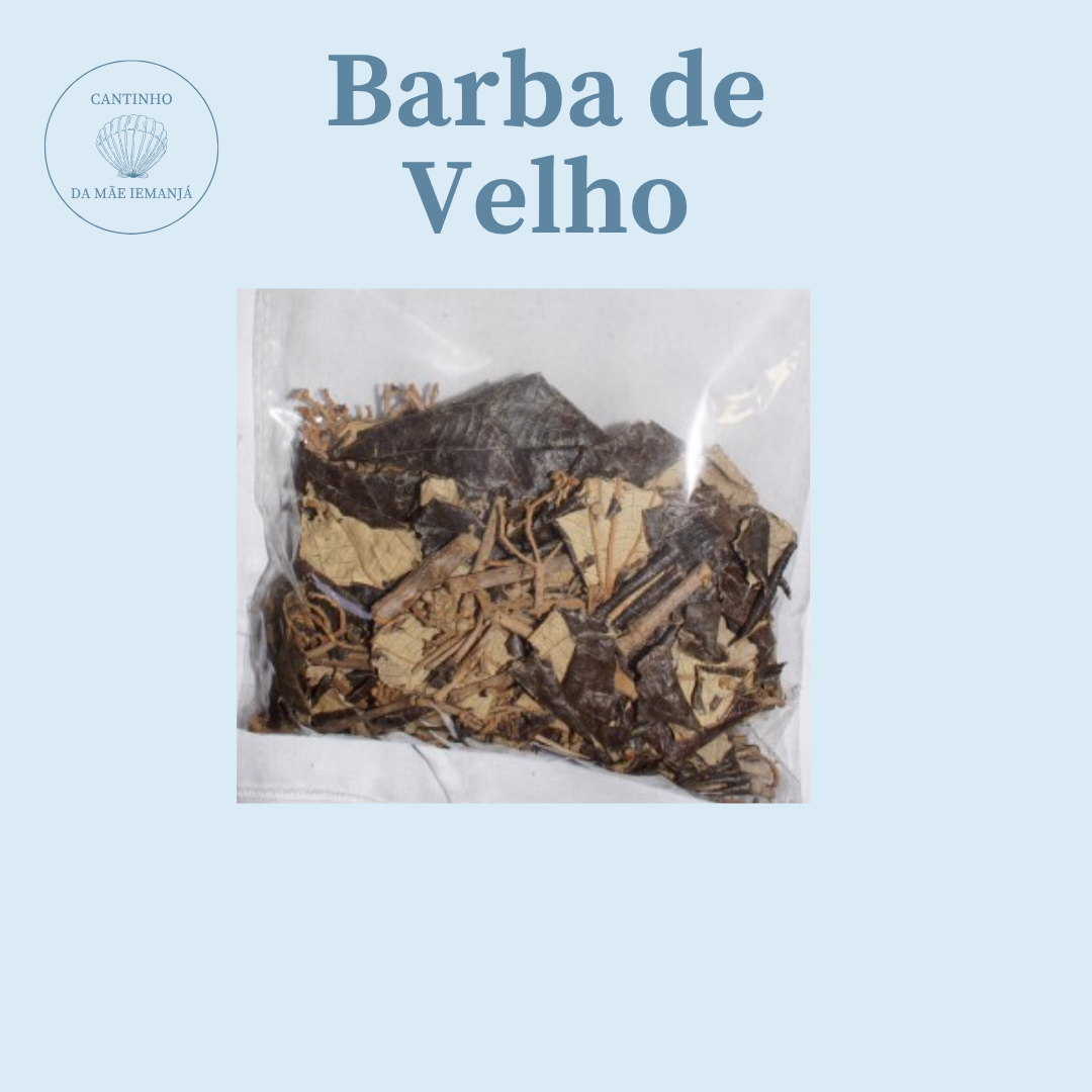 Barba de Velho